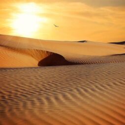 Caminhada de Advento – 2.ª Semana – Natal 2021 deserto